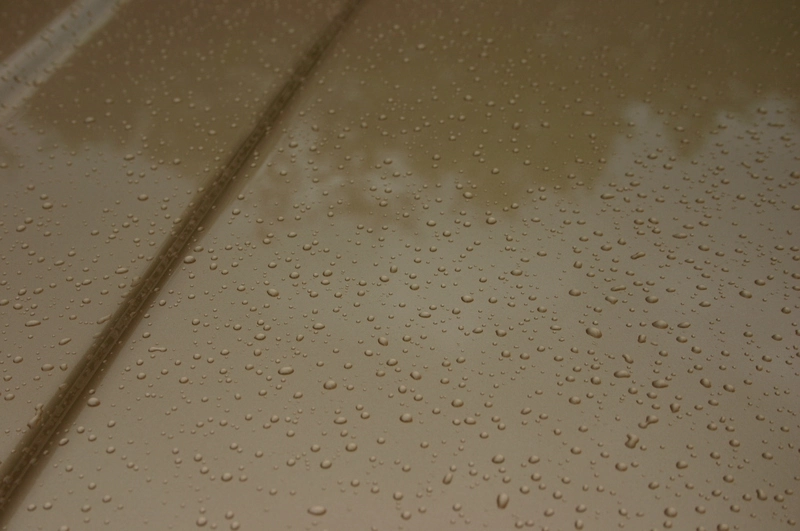 img9079jm8.webp