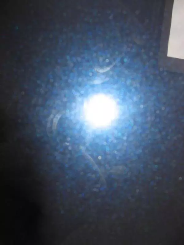 IMG_0041-3.webp