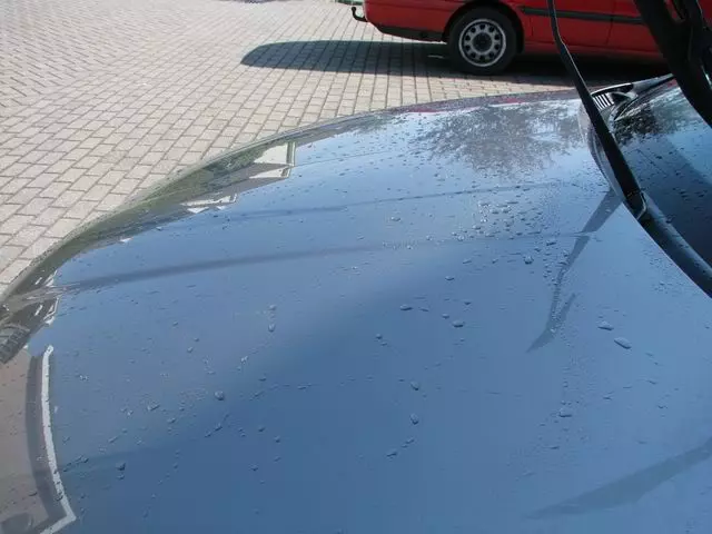 IMG_0073640x480.webp