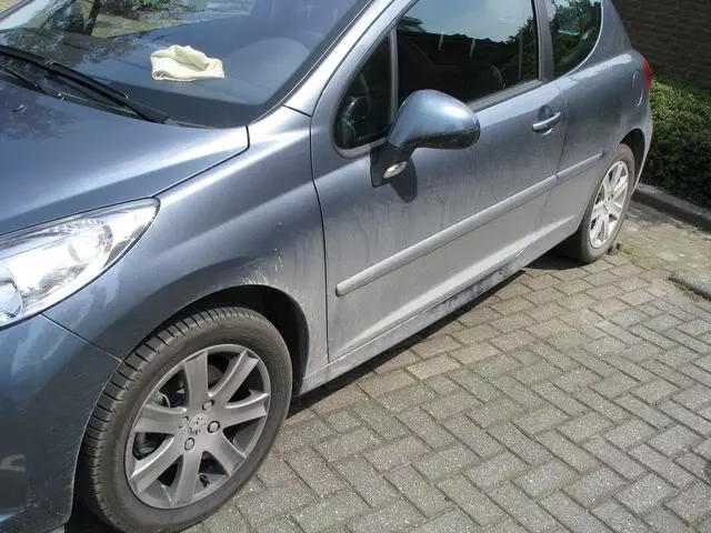 IMG_0091640x480.webp