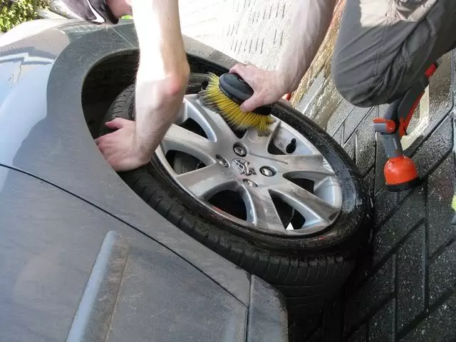 IMG_0100640x480.webp