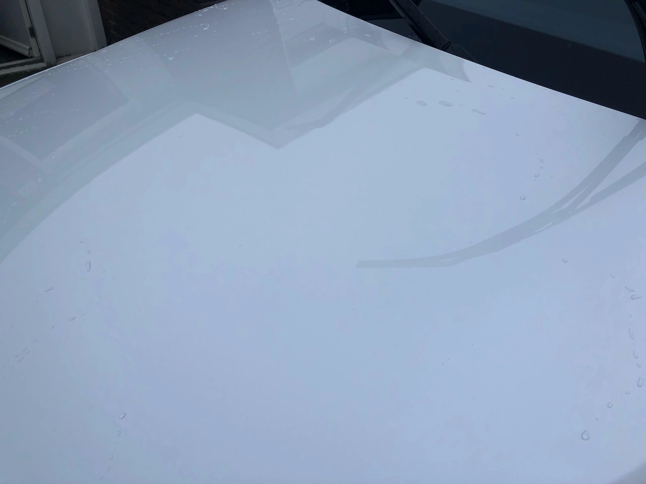 IMG_1237.jpeg