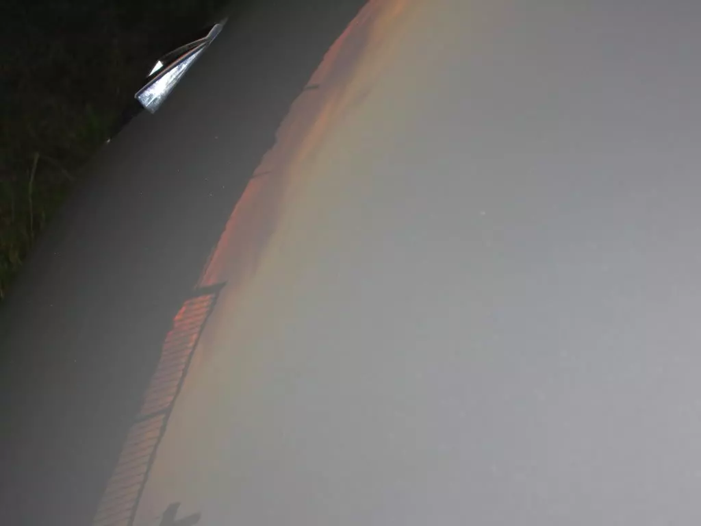 IMG_1987.webp