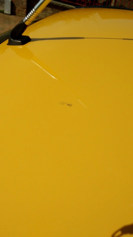 IMG_20150410_125526246.webp