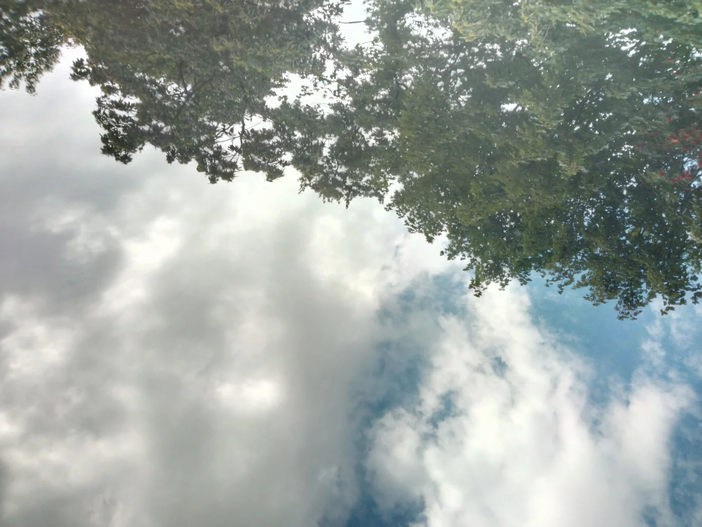 IMG_20170831_143004[1].webp