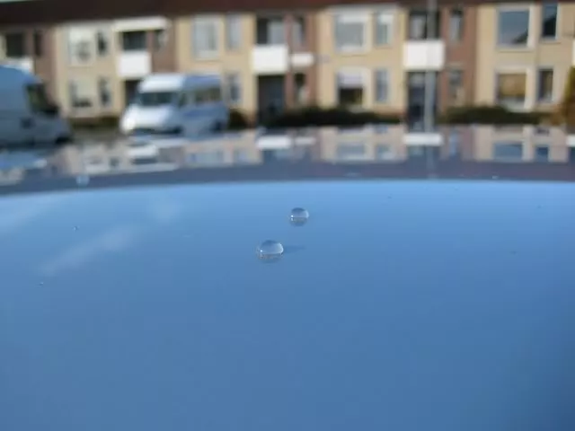 IMG_2029640x480.webp