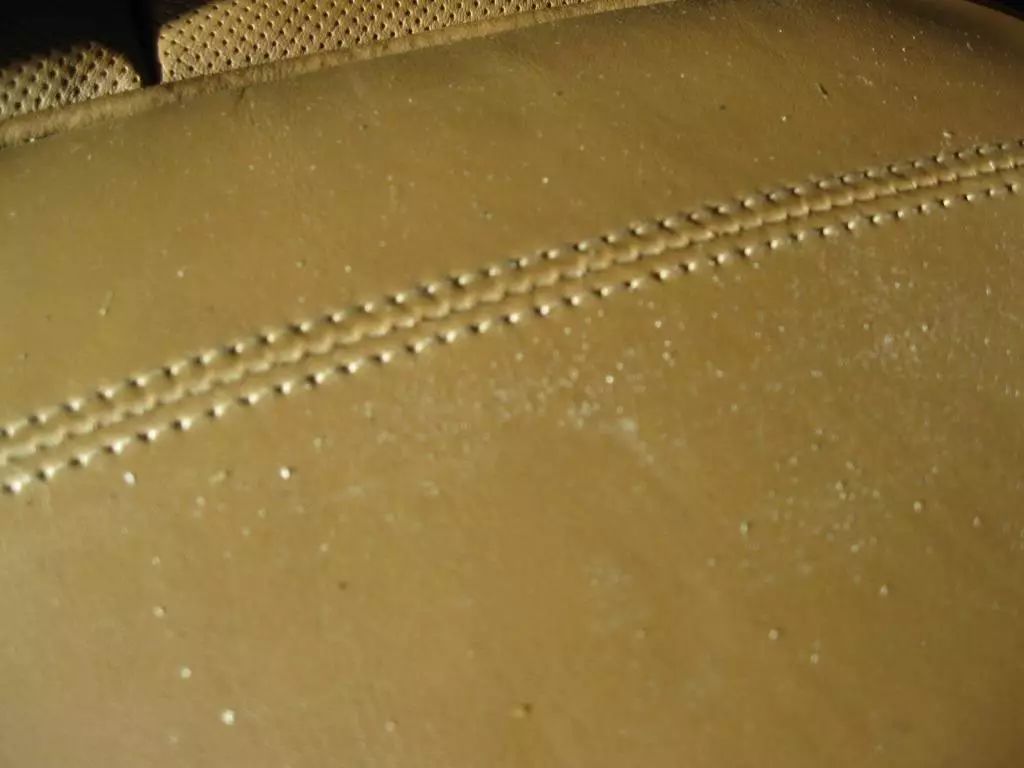 IMG_2220_zps0124ae84.webp