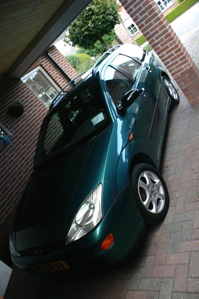 IMG_2554.webp