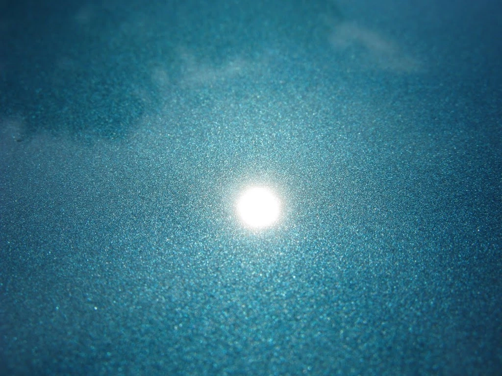 IMG_3369.webp