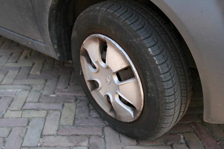 IMG_6693.webp