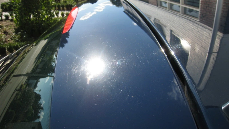 IMG_7944.webp
