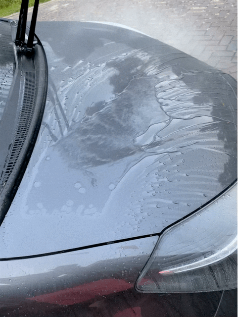 IMG_8635.gif