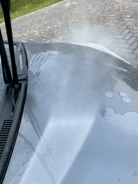 IMG_8636.gif