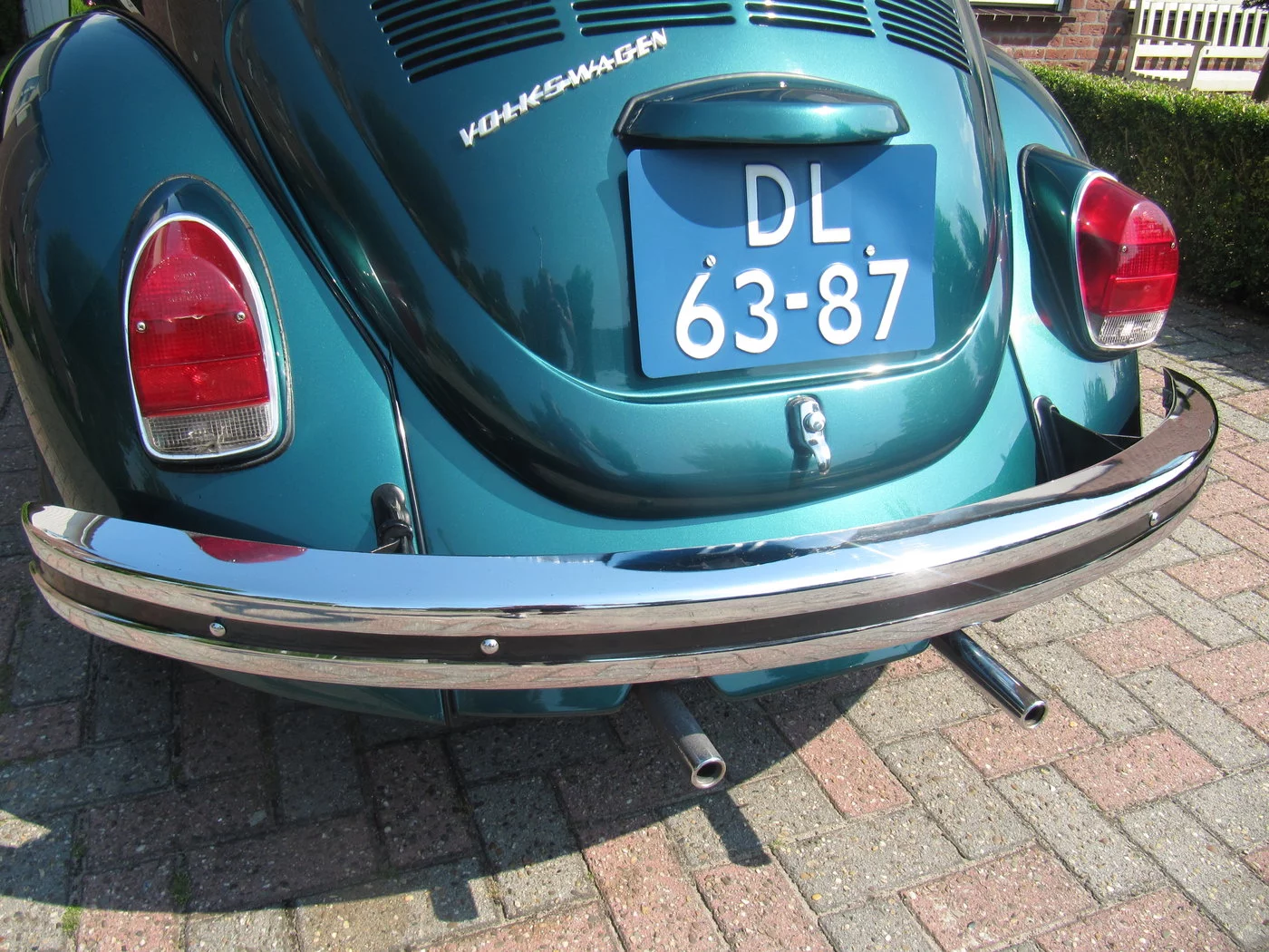 IMG_9121.webp