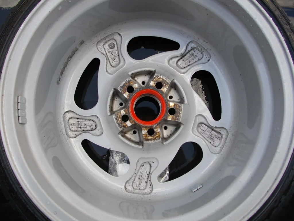 IMGP1155.webp