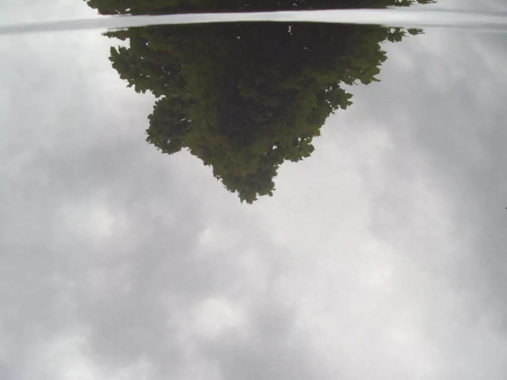 IMGP1780.webp