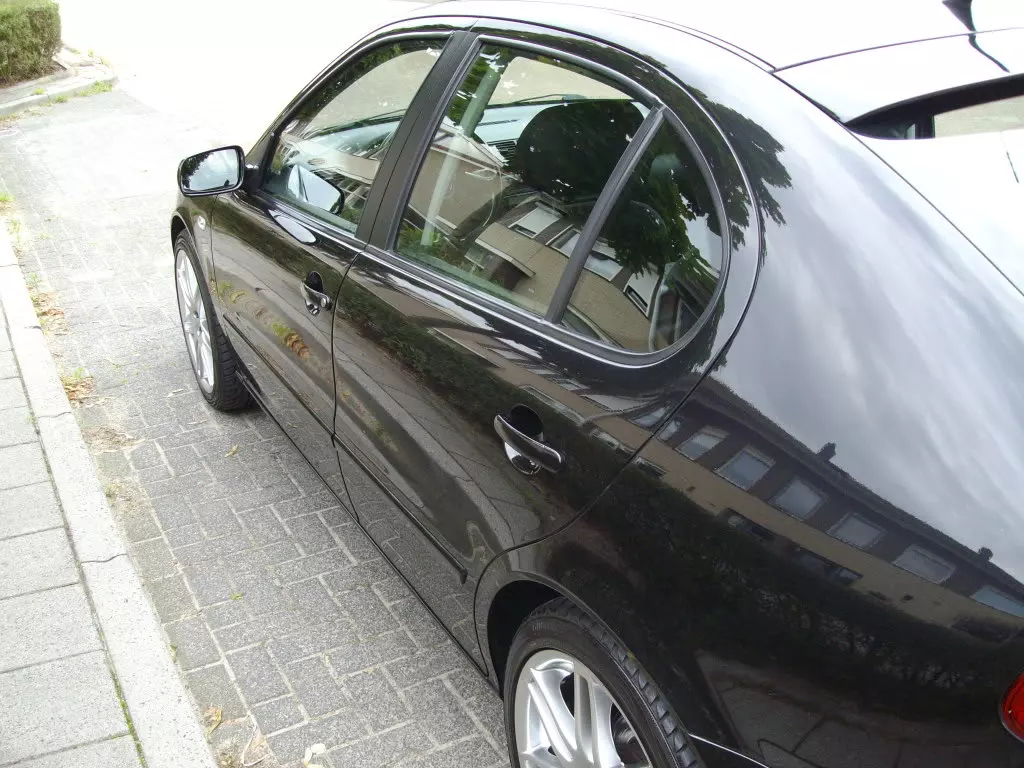 IMGP1786.webp