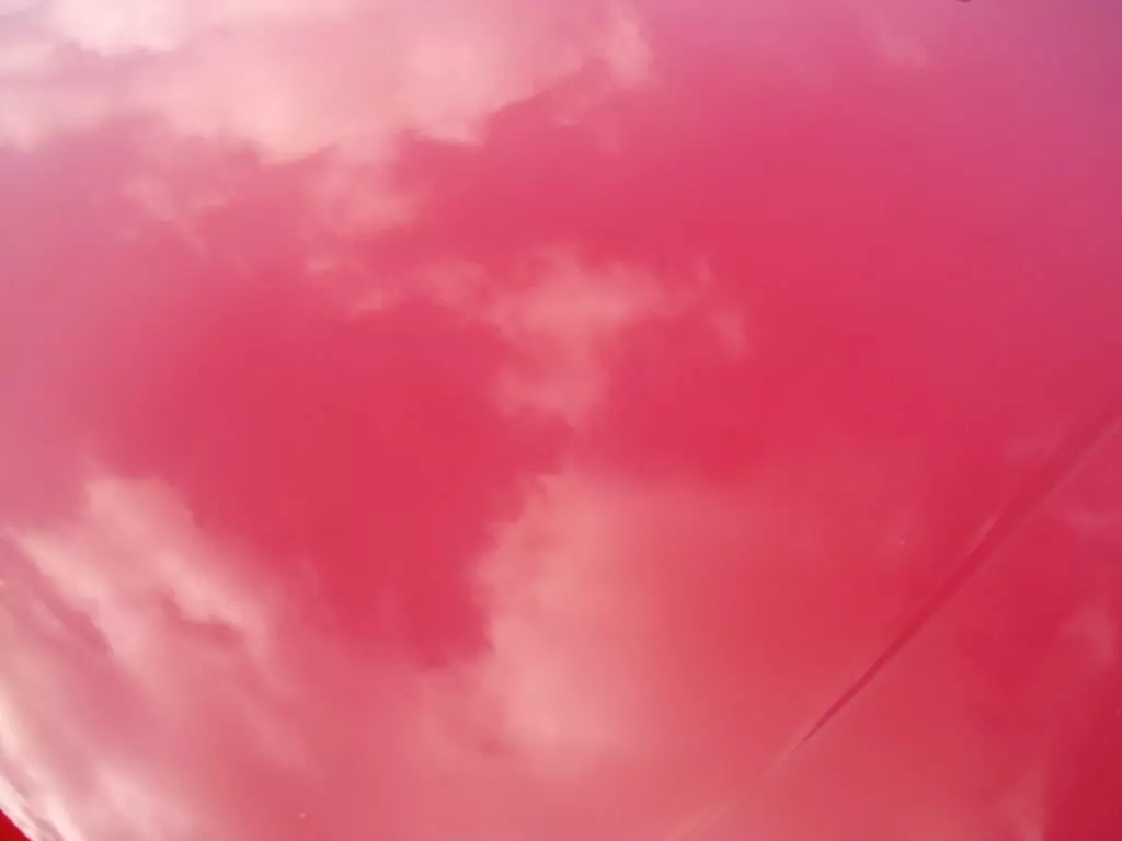 IMGP1865.webp