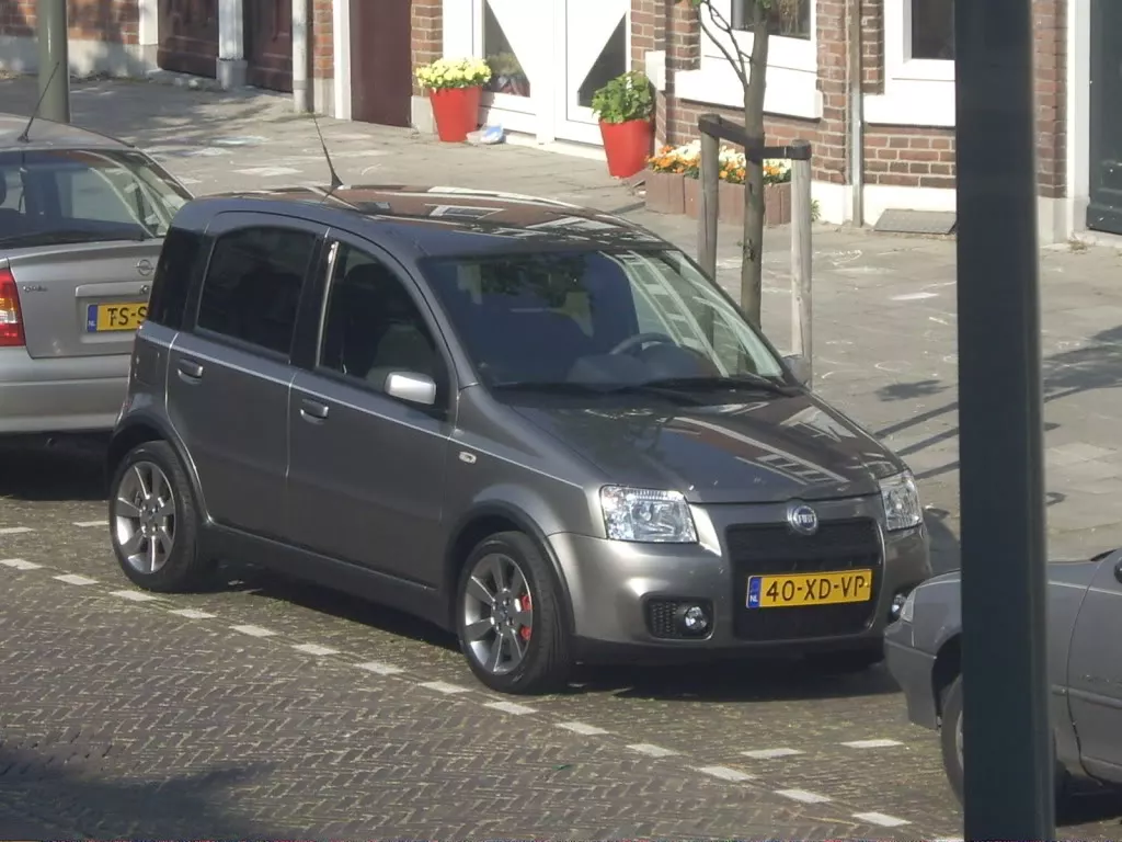 IMGP3951.webp