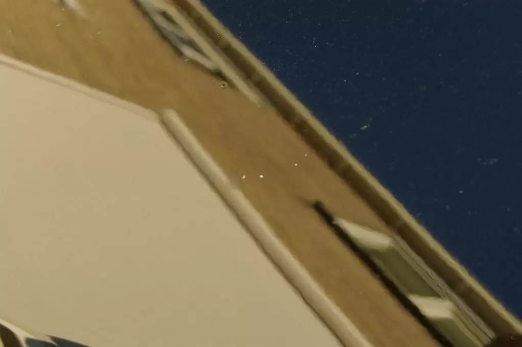 IMGP4286.webp