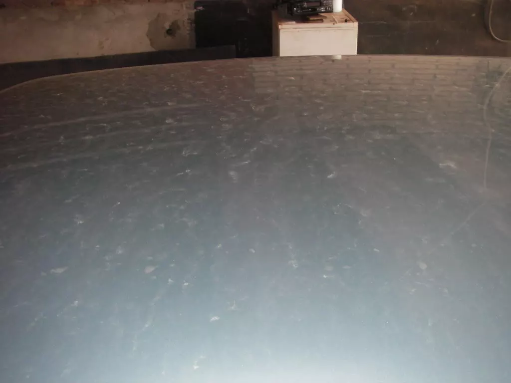 IMGP5422.webp