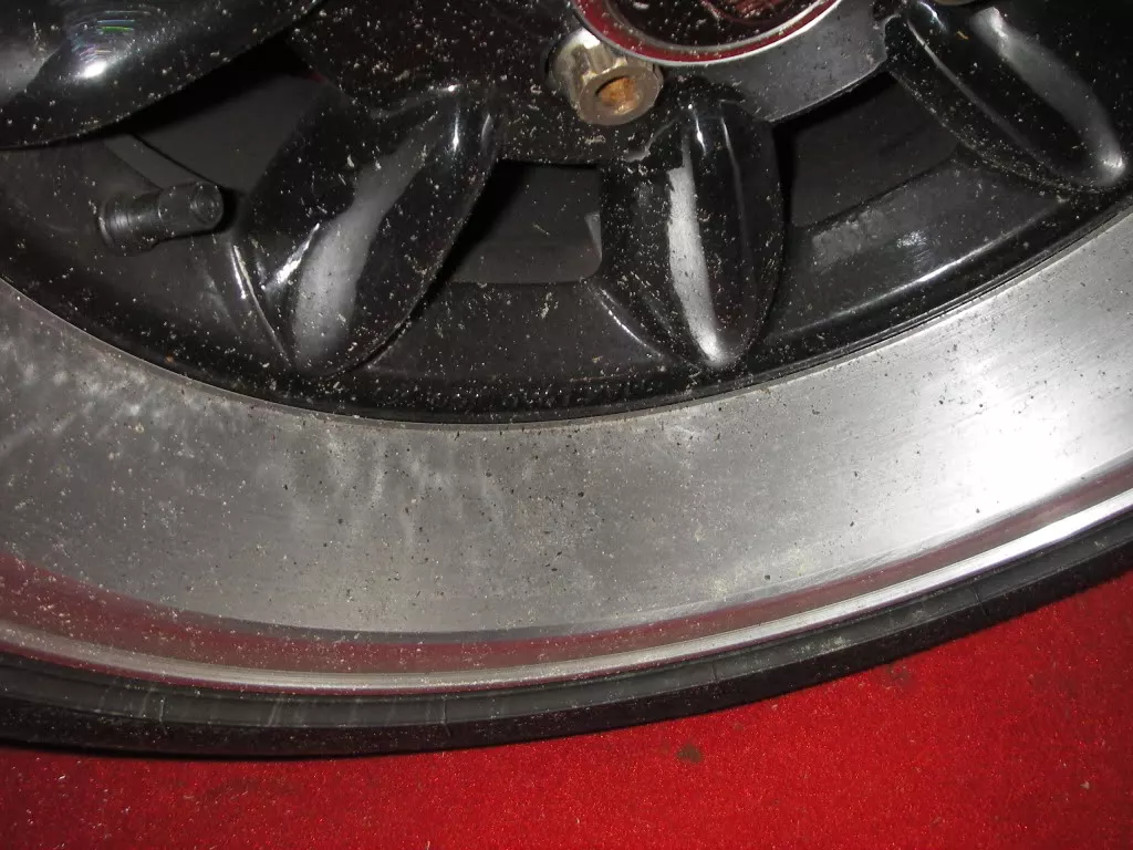 IMGP5424.webp