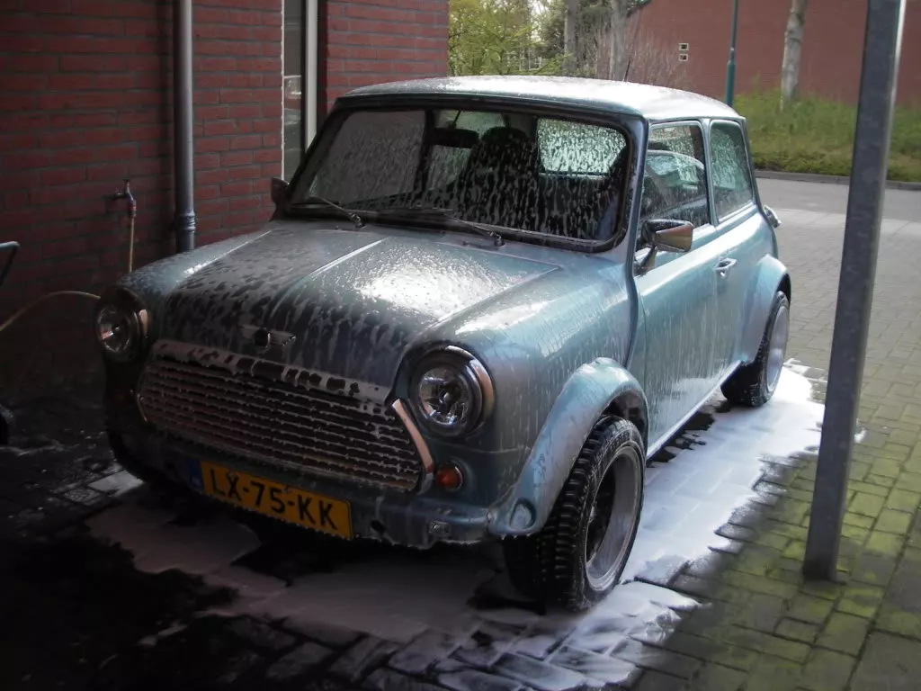 IMGP5428.webp