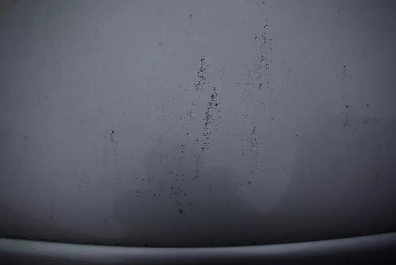 IMGP7803.webp