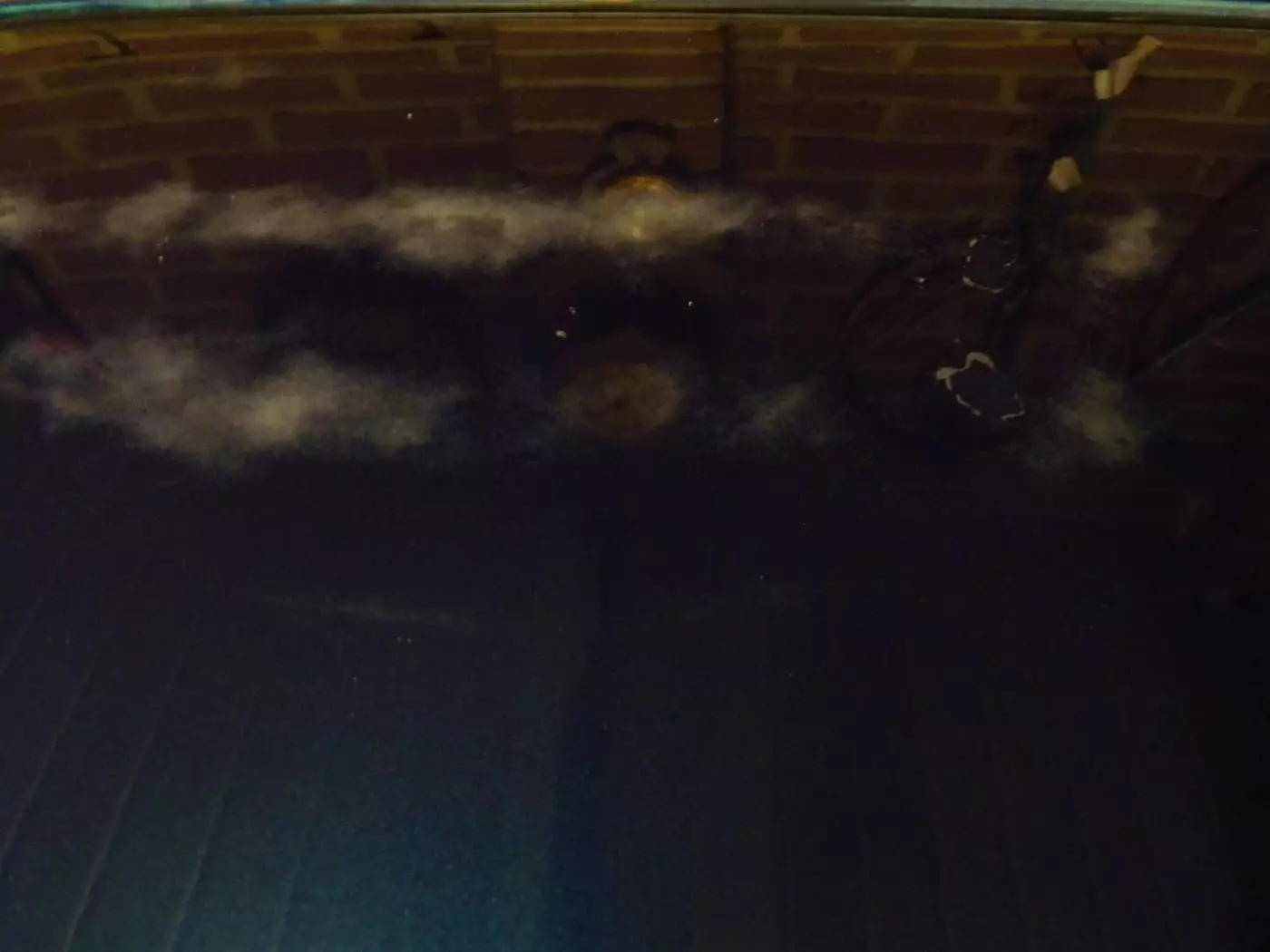 Koqwn51.webp