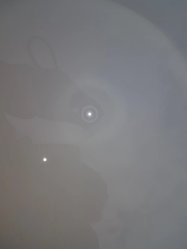 KqvrvCQ.webp
