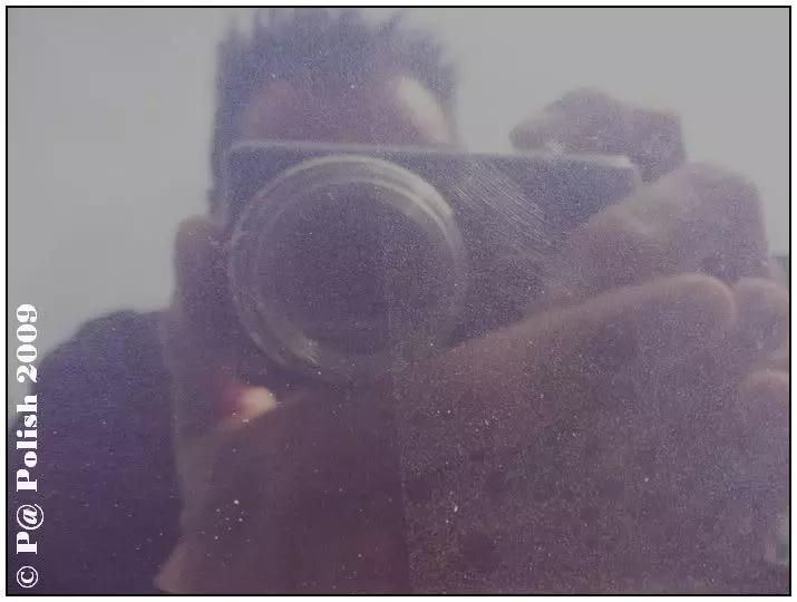 Lak.webp