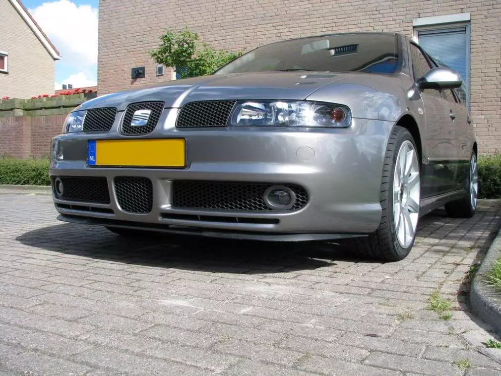 leon25.webp
