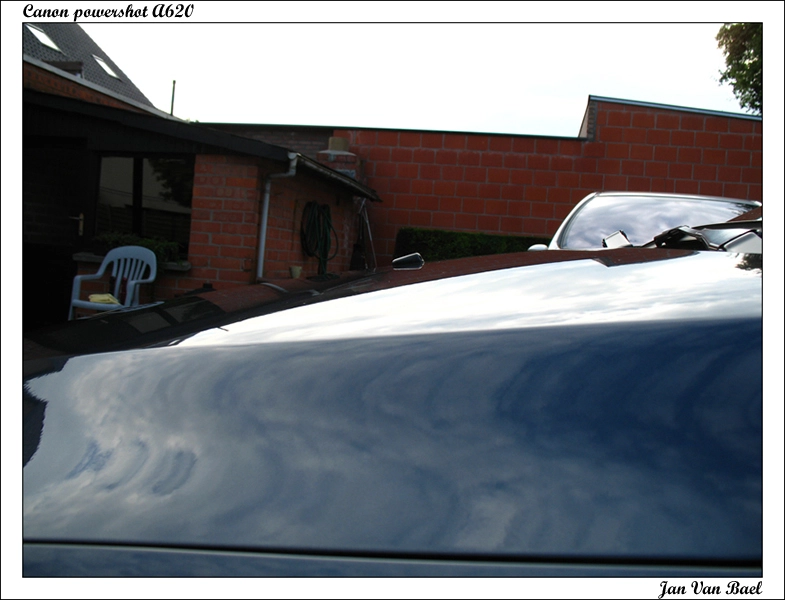 meg1.webp