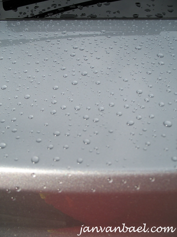 mondeo(5).webp