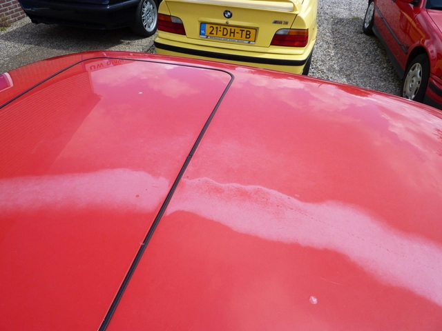 p1000611f.webp