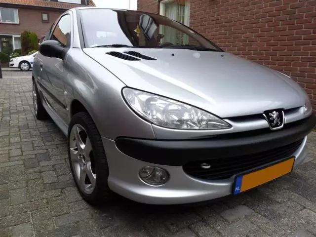 P1000685Medium.webp