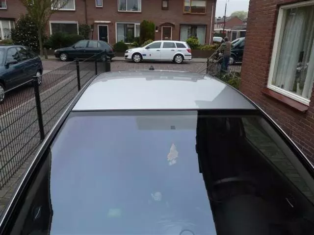 P1000686Medium.webp