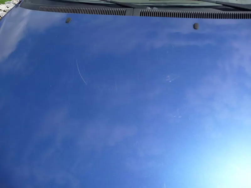 P1130136.webp