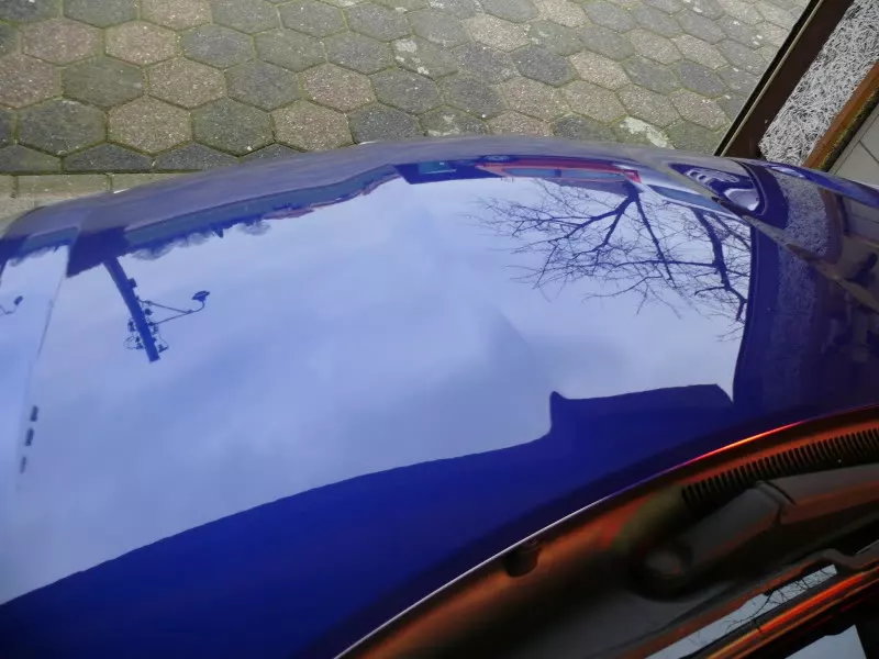 P1180201.webp