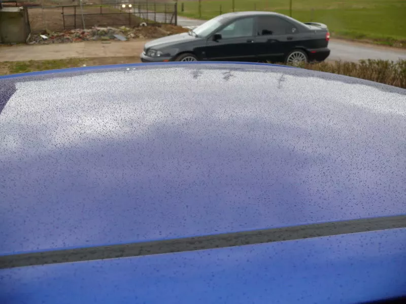 P1180209.webp