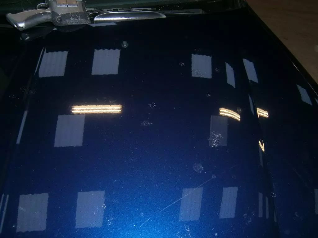 P3100043.webp