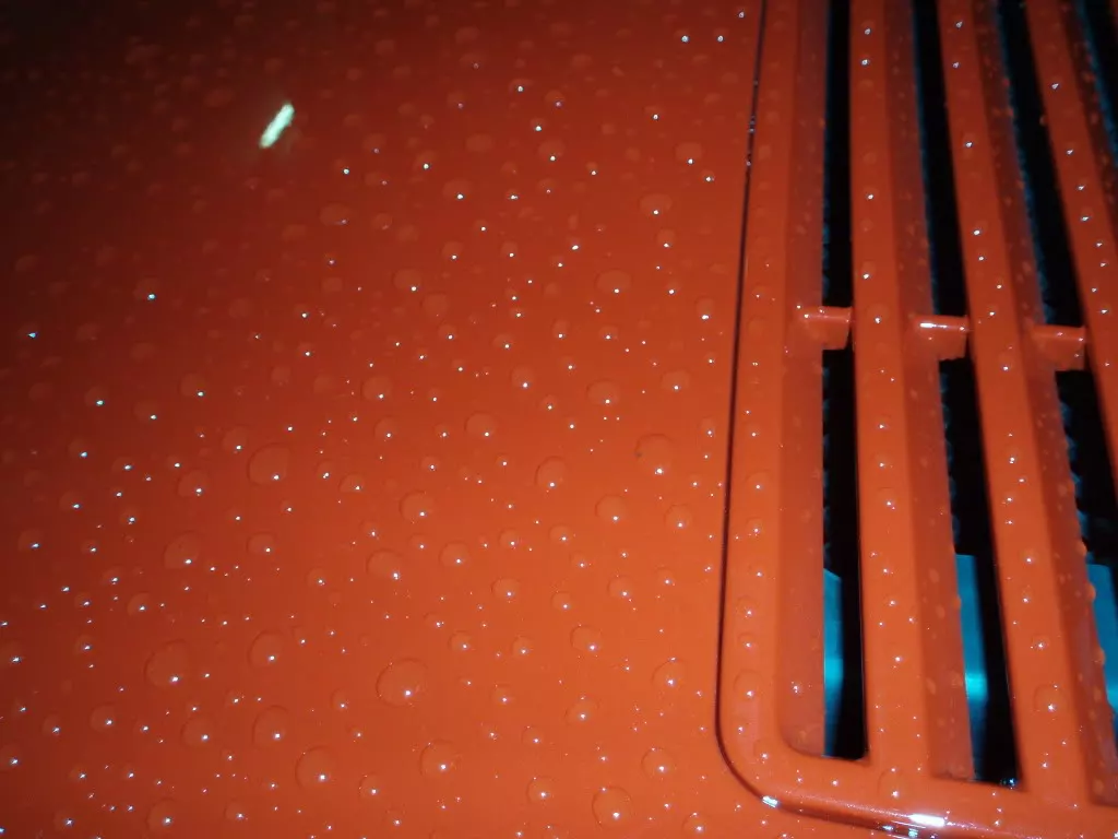 P4022071.webp
