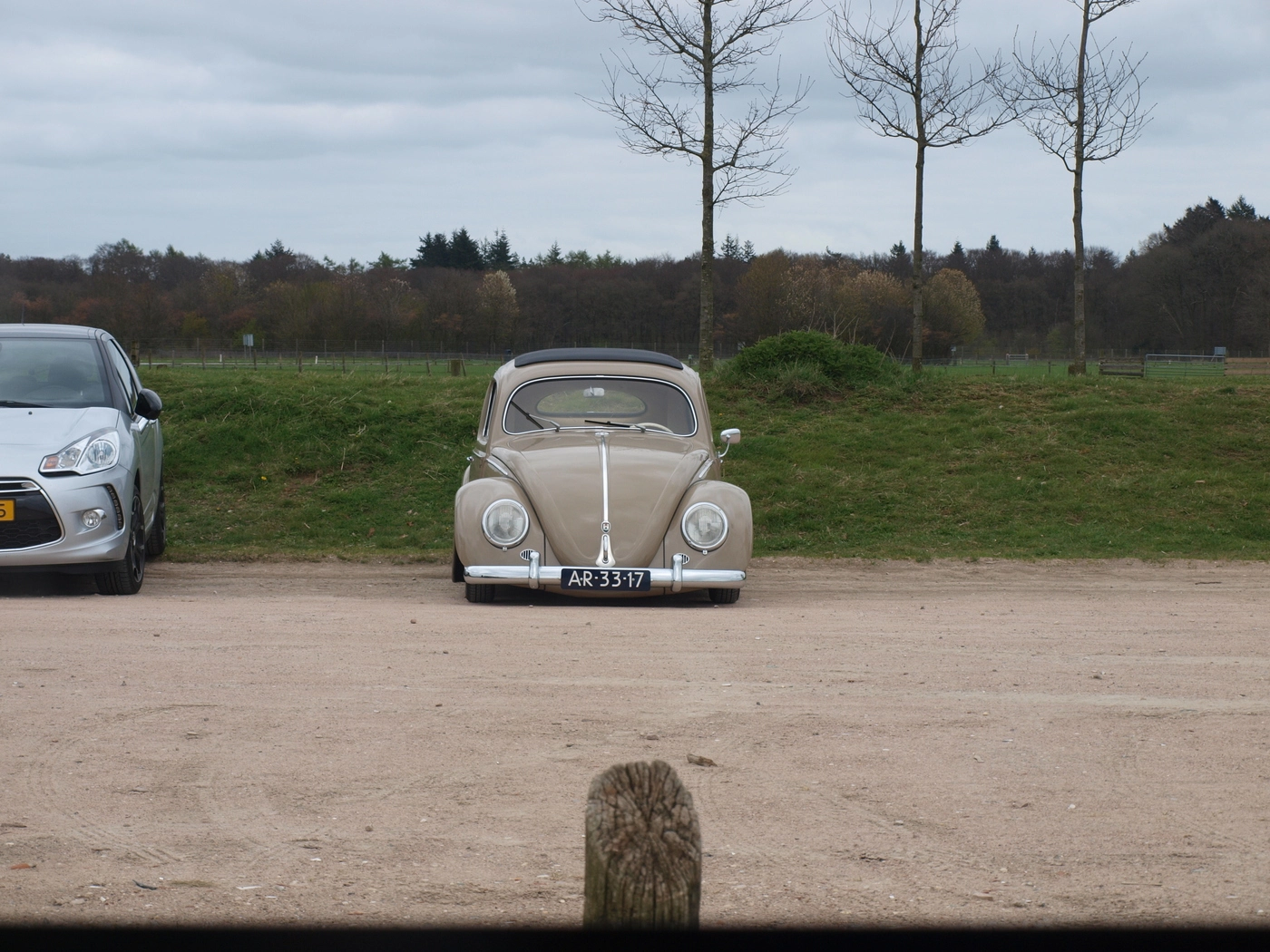 p4153659.webp