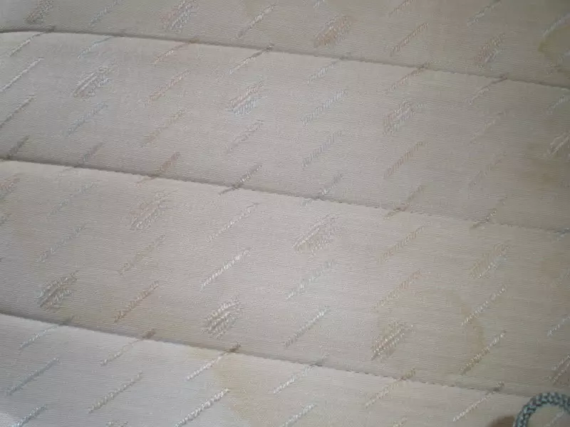 P7190262.webp