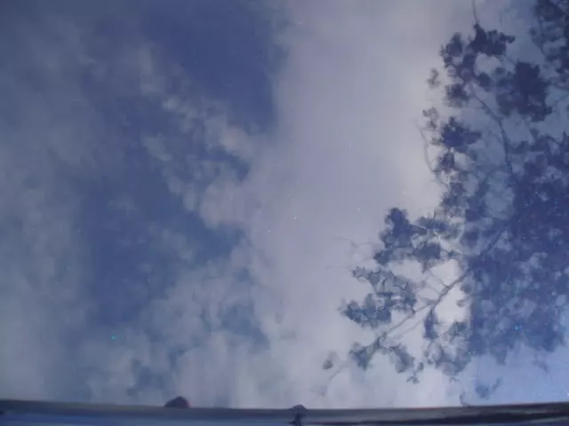 P7310134.webp