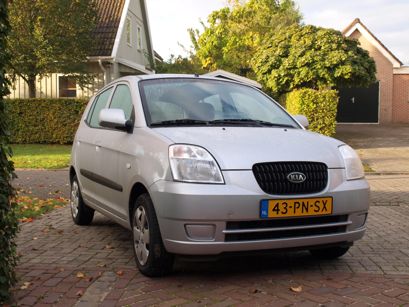 pa094474.webp