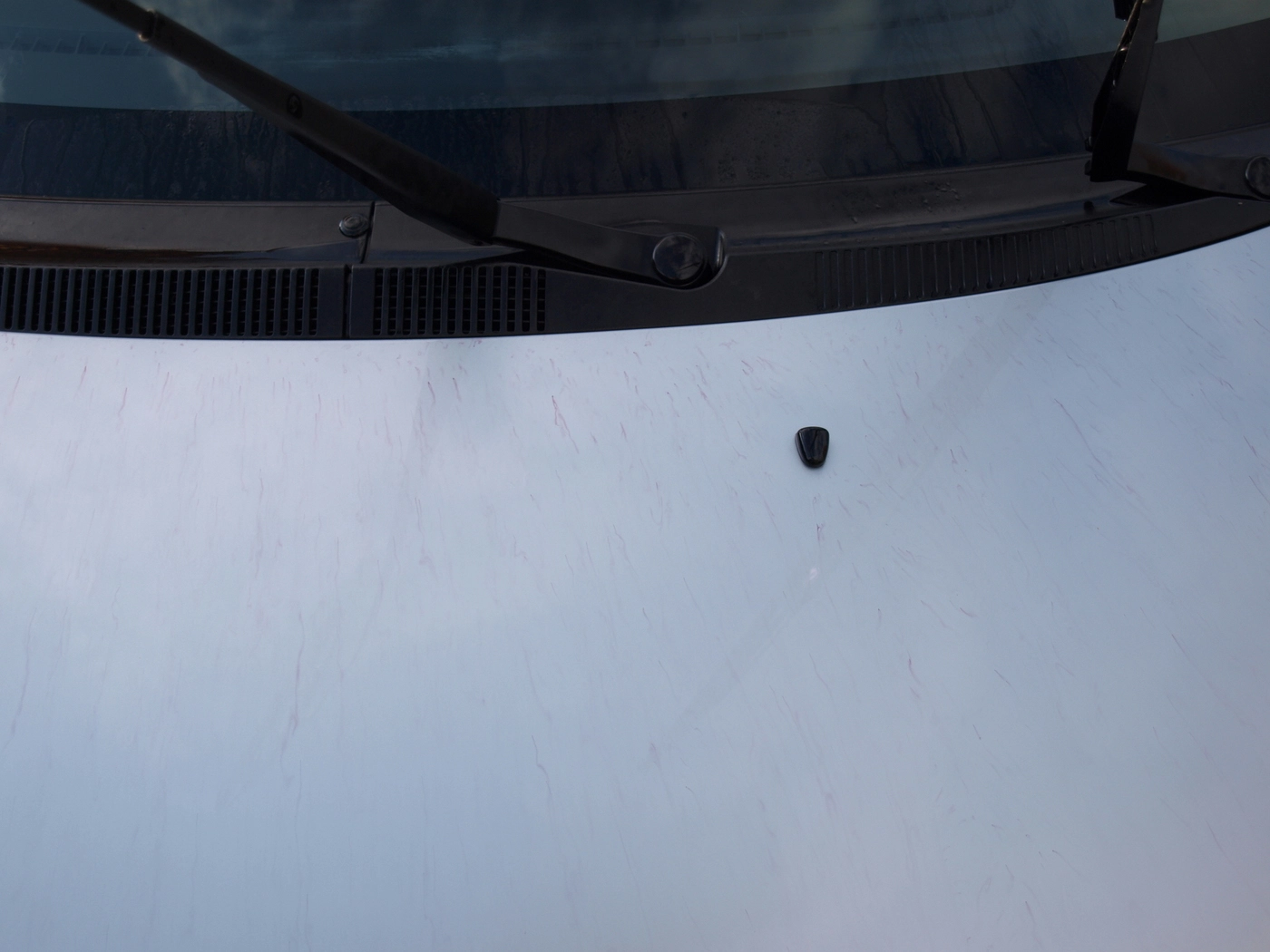 pa094481.webp