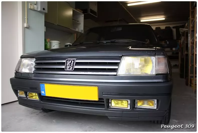 peugeot309gti30.webp