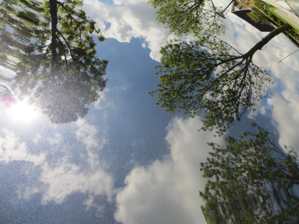 reflectie%20bomen_zpsymvyyvps.webp