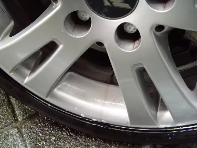S1050004.webp